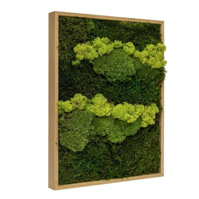 Mosschilderij Lappenmos-Rendiermos-Bolmos Eikenhout - Skive Lentegroen - Zijkant