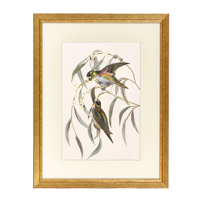 Fotolijst Tropez Goud 50x50 cm - Art Print en Passe Partout