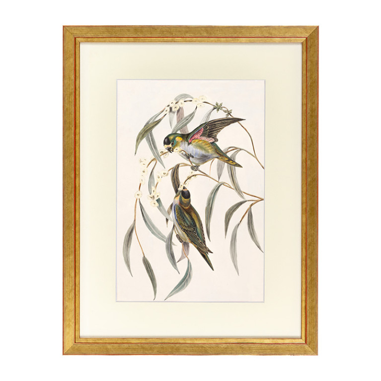 Fotolijst Tropez Goud A4 (21x29,7 cm) - Art Print en Passe Partout
