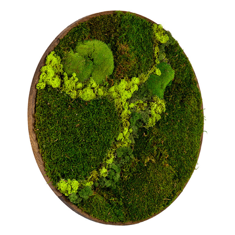 Mosschilderij Rond 100 cm Donker Eiken - Svendborg Lentegroen - Zijaanzicht
