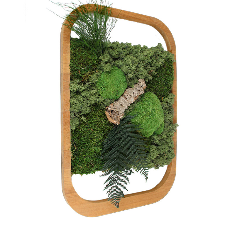 Vintlux Mosschilderij 40x60 cm Eiken Naturel - Sandvik - Schuin