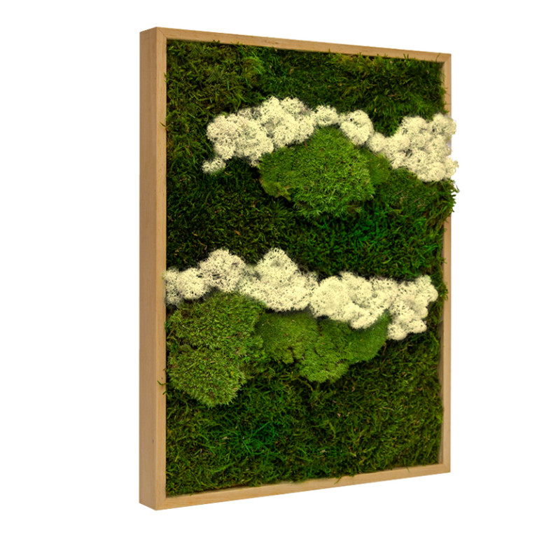 Mosschilderij Lappenmos-Rendiermos-Bolmos Eikenhout - Skive Latte - Zijkant