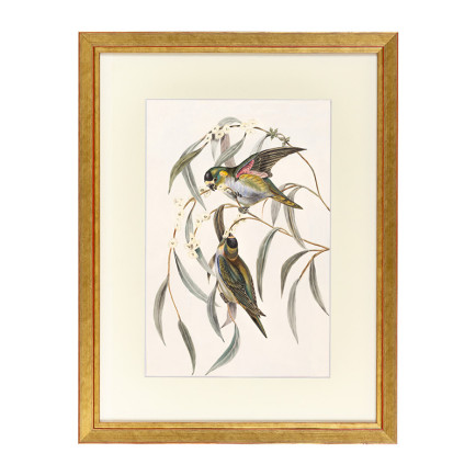 Fotolijst Tropez Goud A3 (29,7x42 cm) - Art Print en Passe Partout